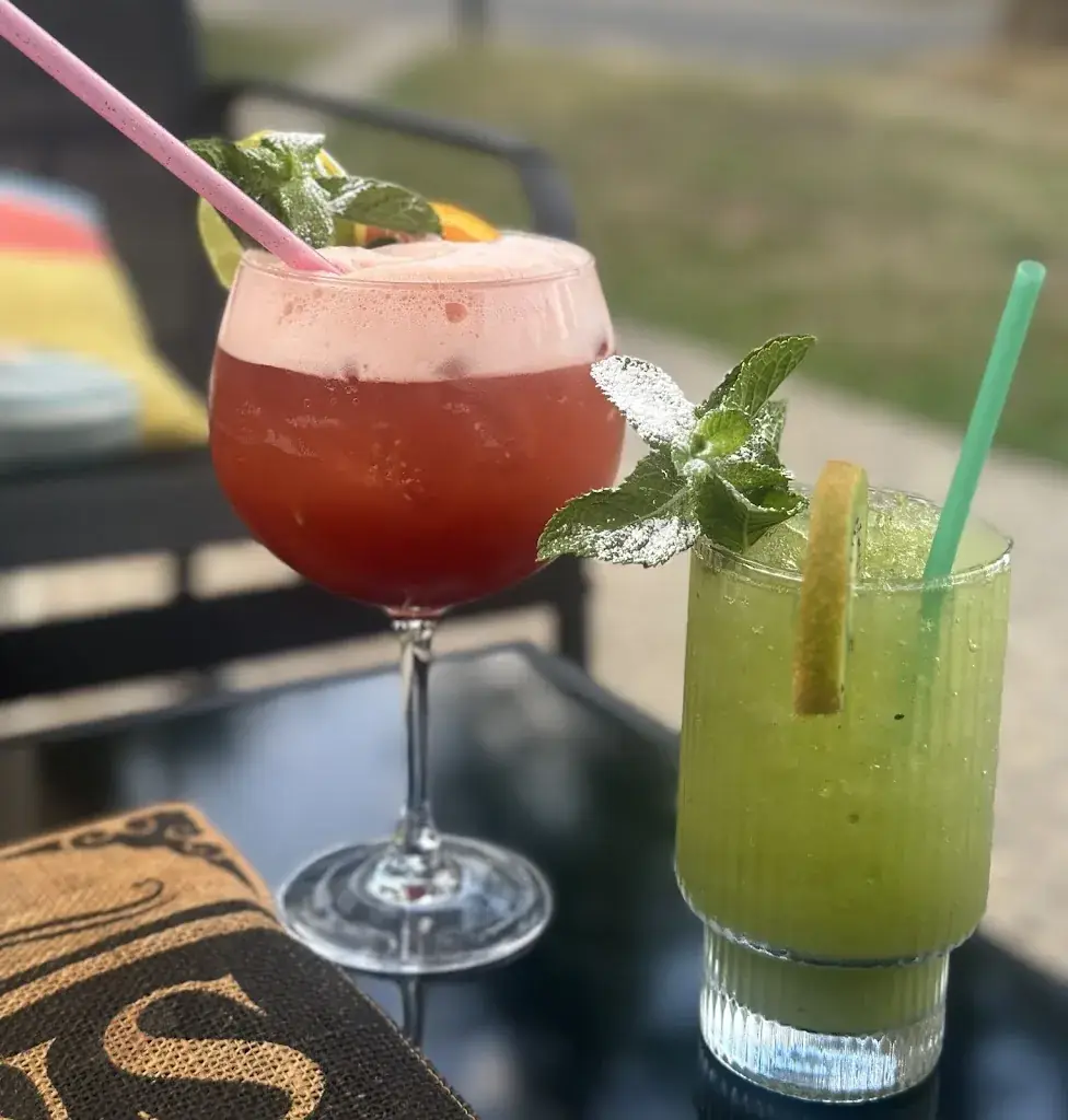 Valérie Roche_Chez les Copains_Bailly_avis