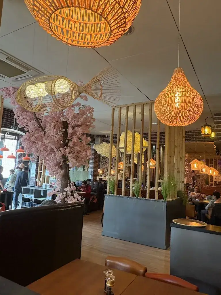 OSAKA restaurant in Dardilly