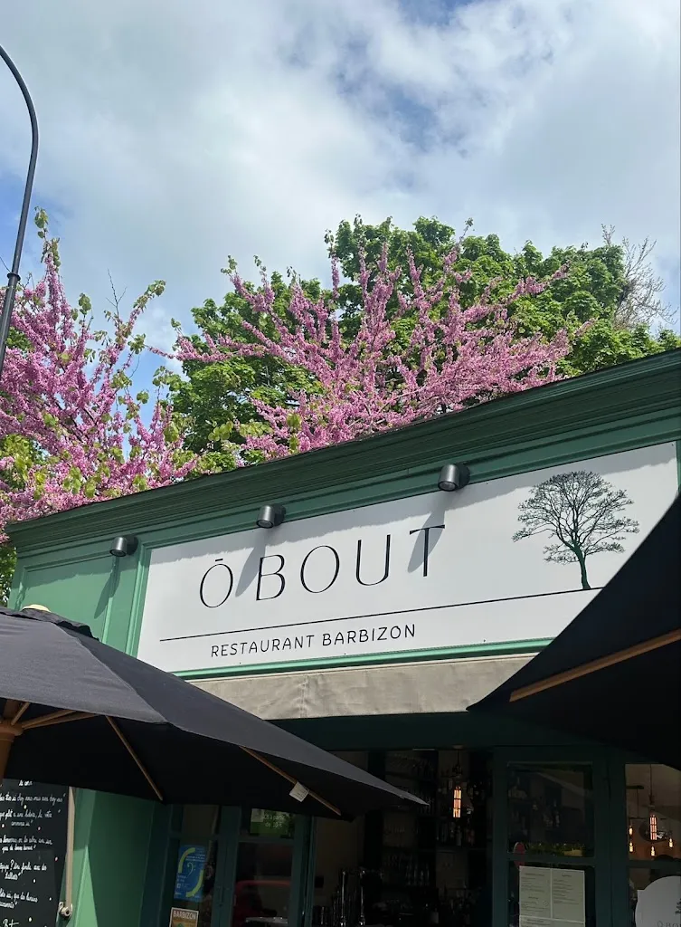 Miya Wu_O BOUT BARBIZON_Barbizon_review