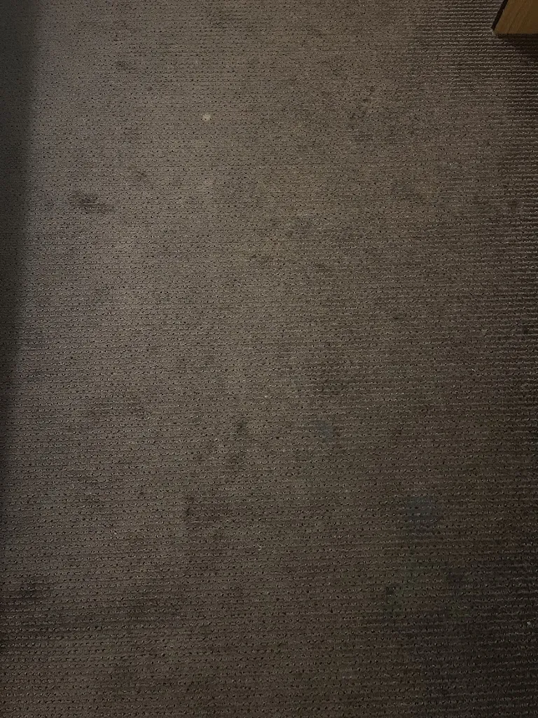 Robert Daniel Kubik_Campanile_Bagnolet_review