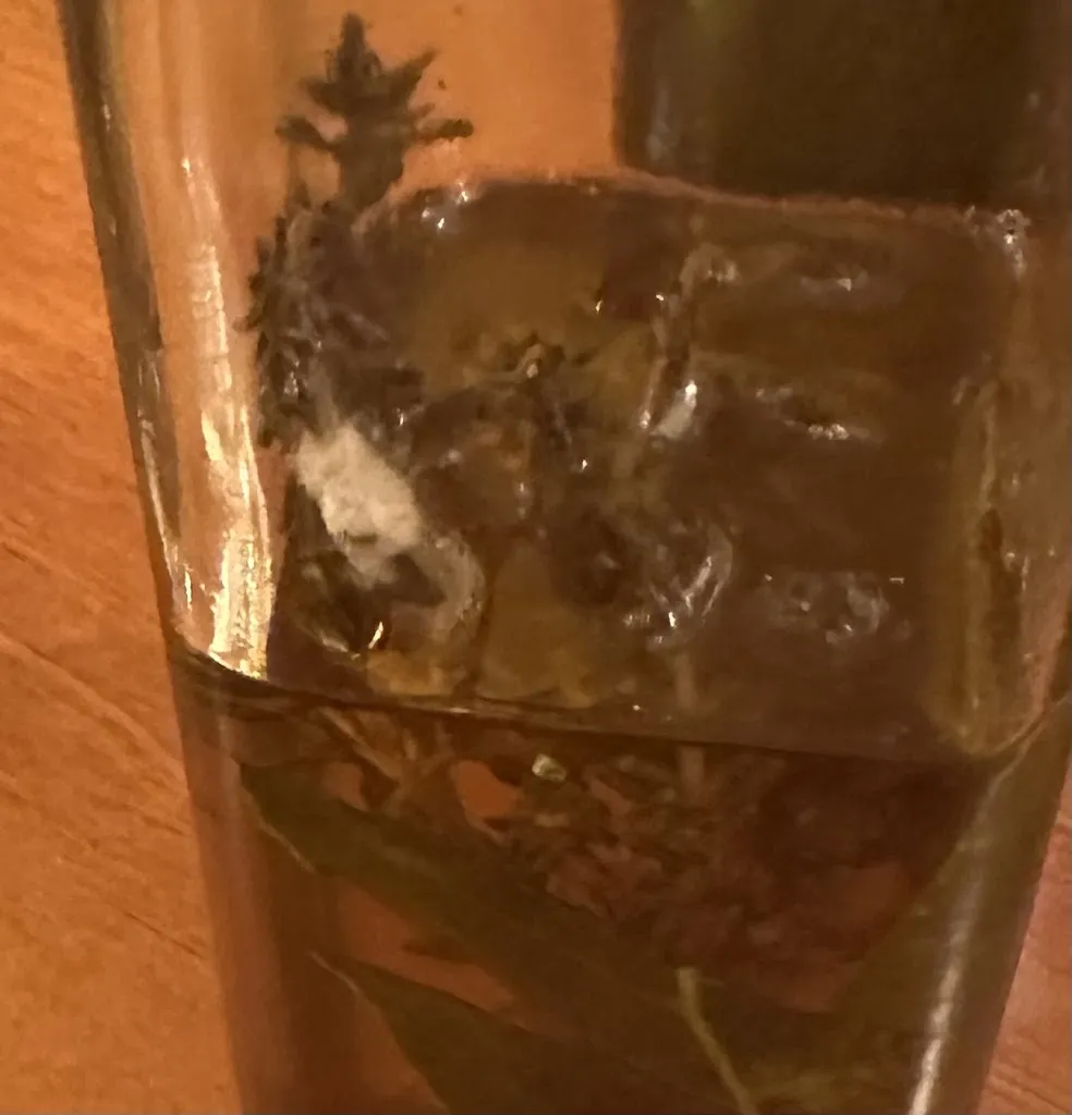 Frida B_Mancia e futtitinni - Trattoria / Pizzeria - Bagneux _Bagneux_review