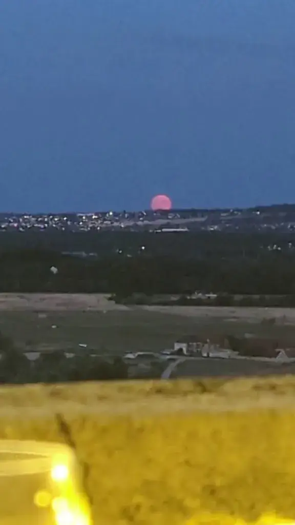 Zohar Kuperman_Le Panoramique 1*_Rolleboise_recensione