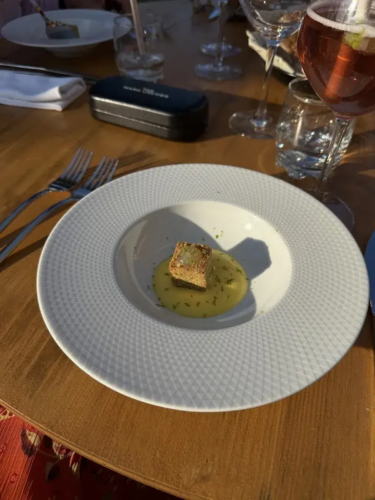 Trude Lateur_L'Unisens_Vagnas_review