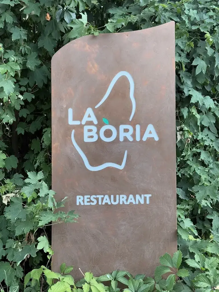 Eliza Fara_LA BÒRIA_Veyras_recensione