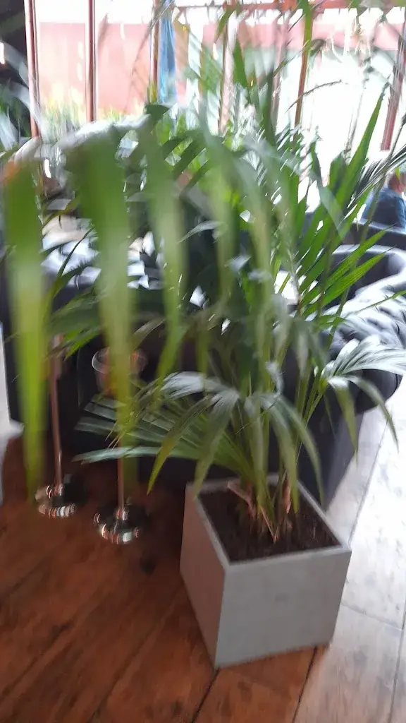 Marc Ll._The BookMaker_Bezons_recensione