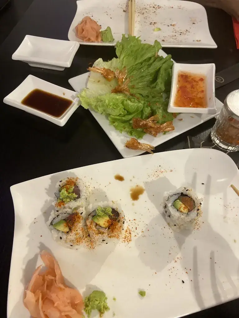 Mohamed Lemine TEBAKH_Villa Tokyo_Bezons_review