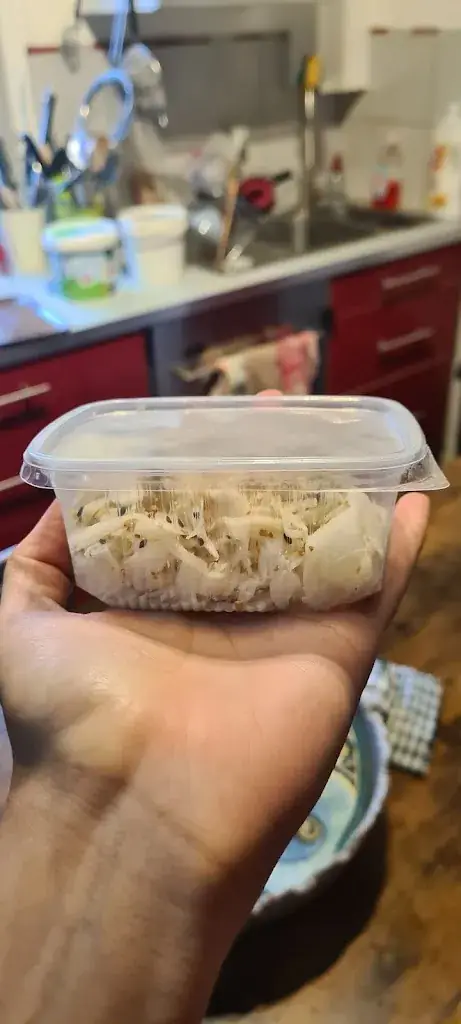 Menu_SUSHI SAKURA_Bouray-sur-Juine_image_6