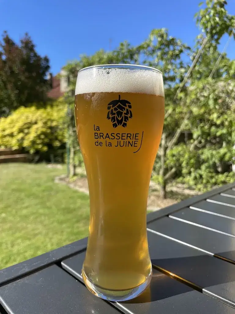 Menü_Brasserie de la Juine_Janville-sur-Juine_Bild_8