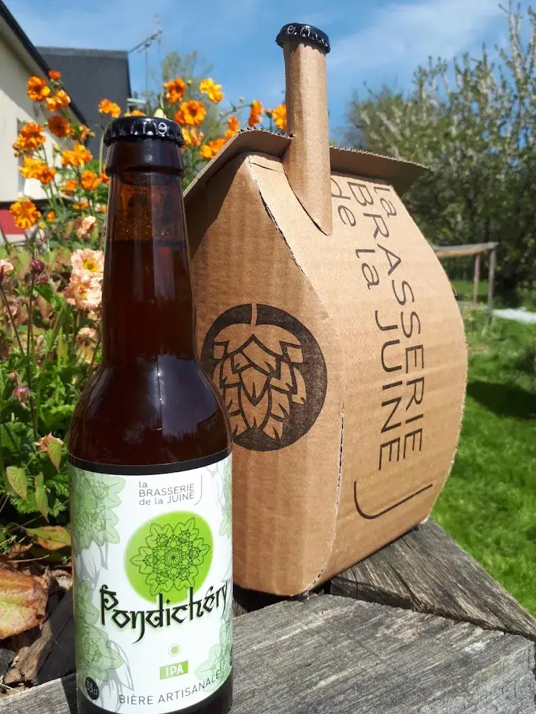 Menü_Brasserie de la Juine_Janville-sur-Juine_Bild_9