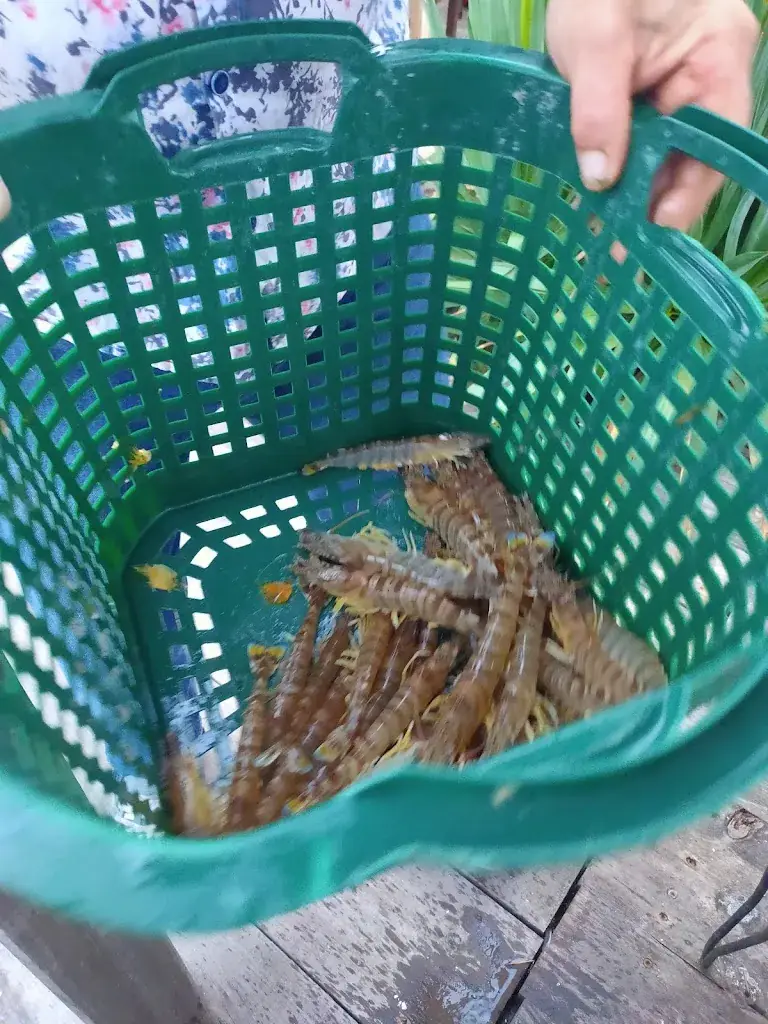 Menu_Ferme des Aubains_Breuillet_image_8