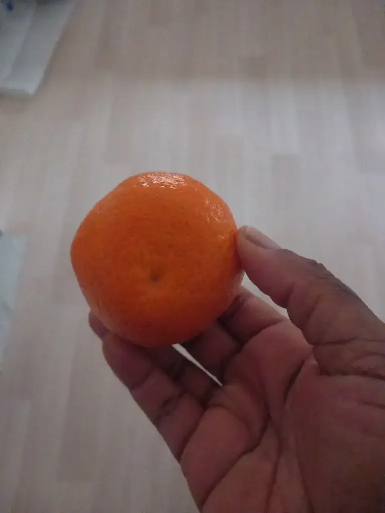 Anne Mang_Resto du Cœur_Bonneuil-sur-Marne_recensione