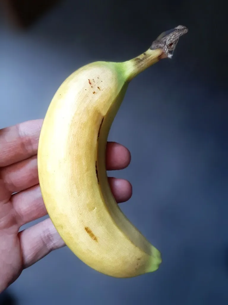 Mister Barjot_Restaurant Inter-Administratif de Bobigny_Bobigny_review