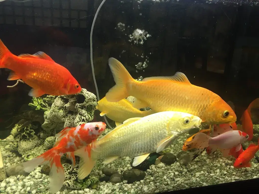 La Maison du Bonheur_Cernay-la-Ville_slider_image_2