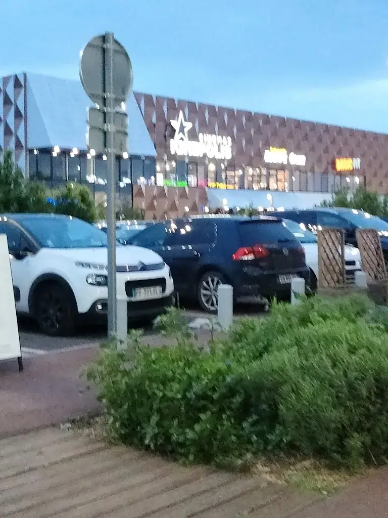 Mihaela Liliana Paula Manea_Promenades De Brétigny_Brétigny-sur-Orge_review