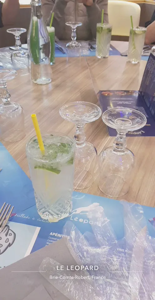 Léopard_Brie-Comte-Robert_slider_image_2