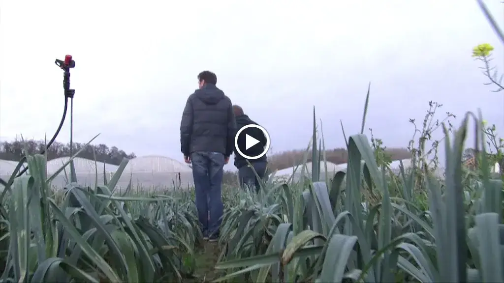 La Table De Sylvain_Brie-Comte-Robert_slider_image_1