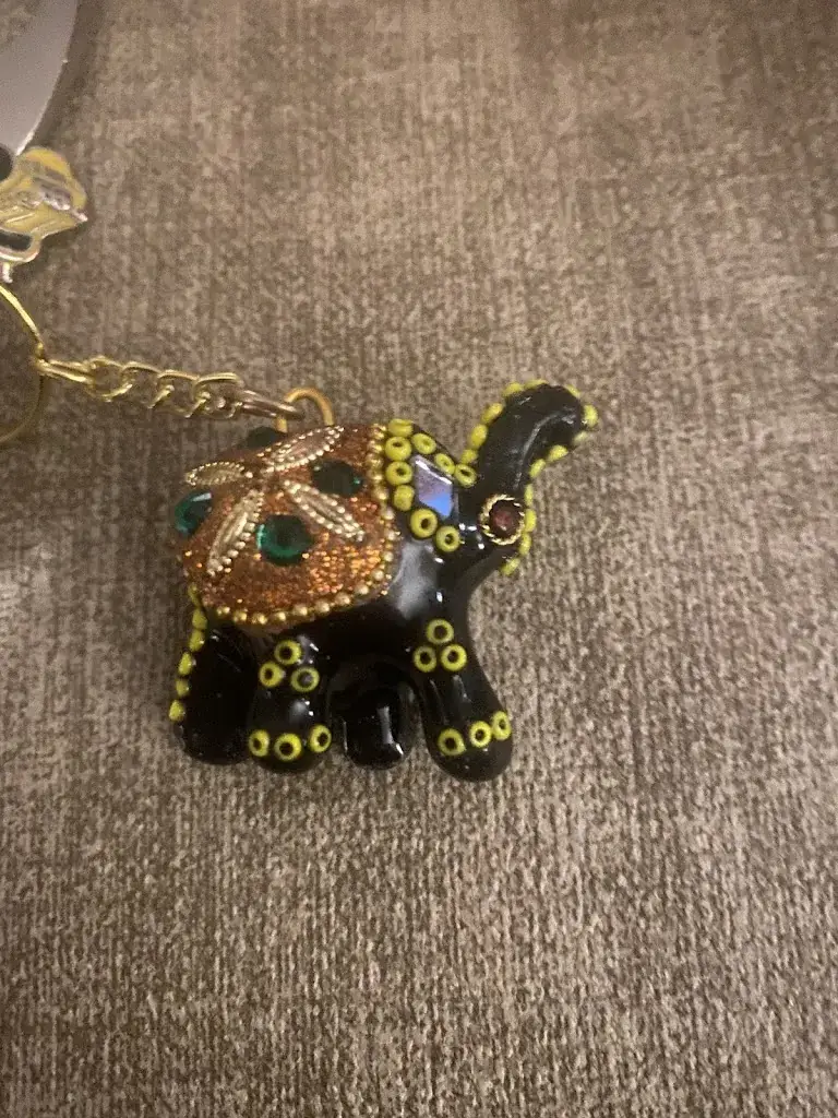 Nell Lemaire_RAJASTAN Restaurant Indien_Brie-Comte-Robert_review