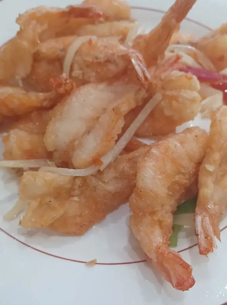 Toni Saigleghzal_Zenli_Brie-Comte-Robert_review