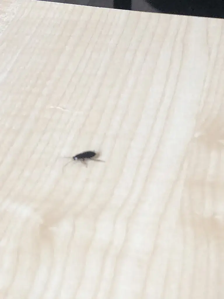 Samuel Reilles_Logis Hôtel Drom'Sud Hôtel_Donzère_review