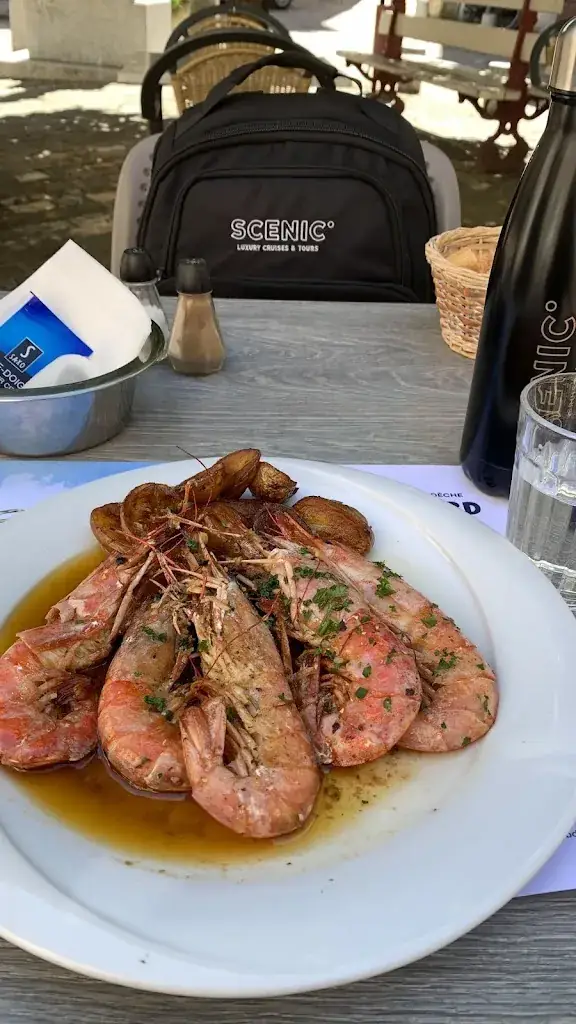 FAlexandra f_Les chevaliers_Viviers_review