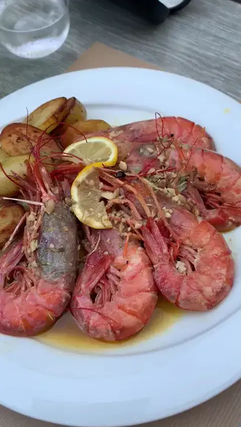 Les chevaliers_Viviers_slider_image_2