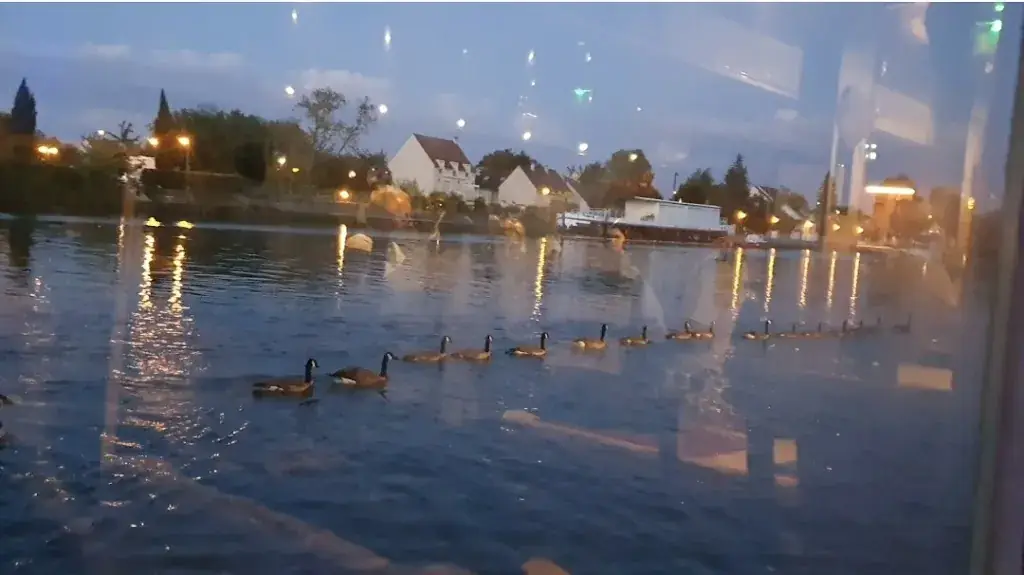 Pom V._Le Boucanier_Mantes-la-Jolie_review