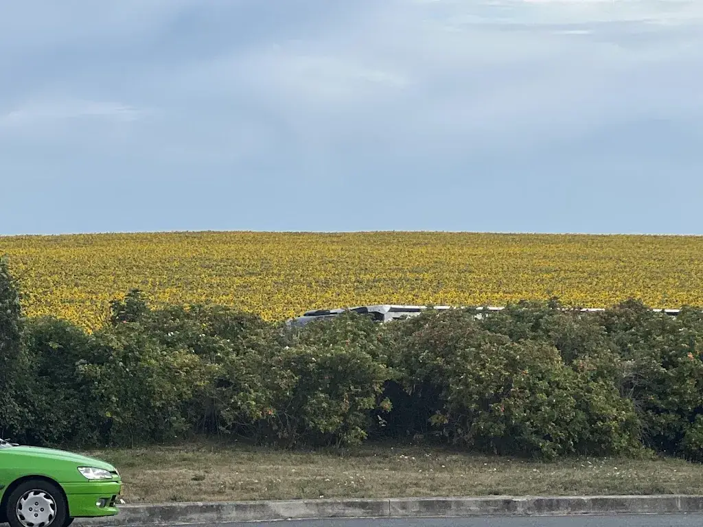 postcard24r_LEO RESTO - AIRE DE USSY SUR MARNE_Ussy-sur-Marne_review