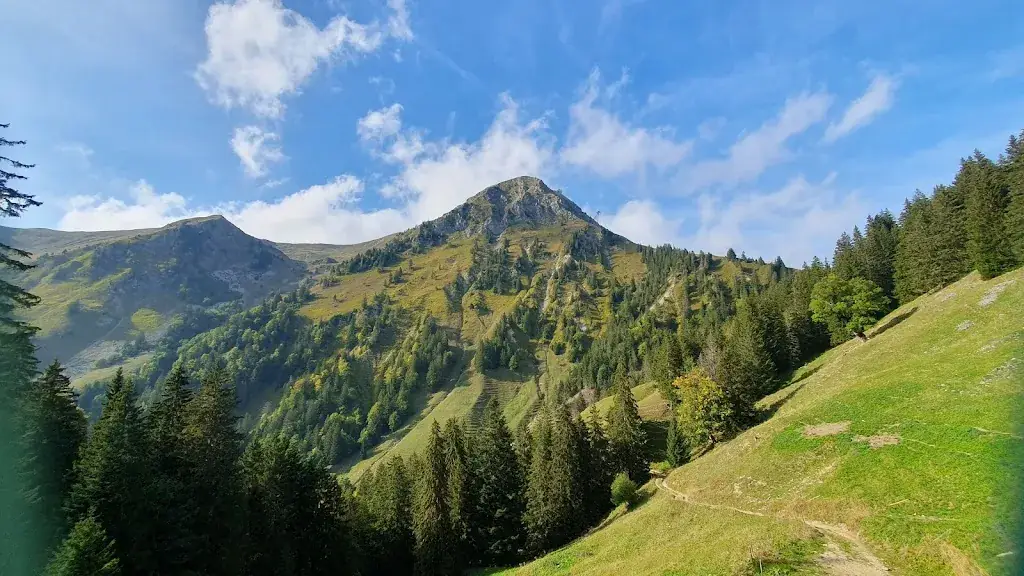 Philippe Defferrard_Buvette La Challa_Villars-sous-Mont_review