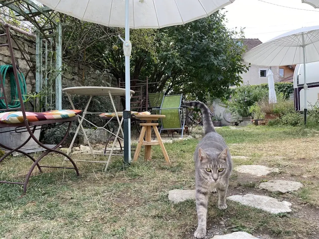 Miss Clairon Côté Cave et Côté Fourneaux restaurant in Ébreuil