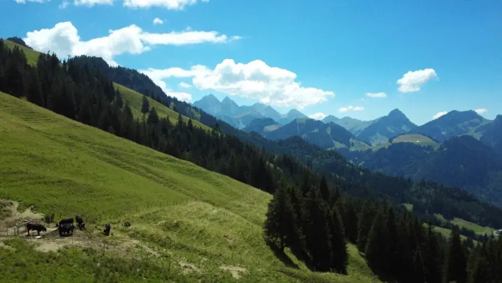 Olivier Poirot_Auberge De Tissiniva_Val-de-Charmey_review