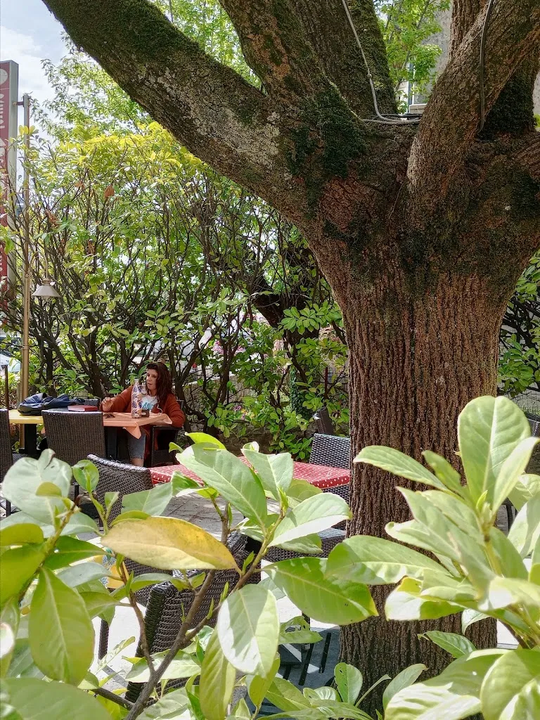 Bernard Chloe_Restaurant Le Parc Dieulefit - Tiers-lieu_Dieulefit_review