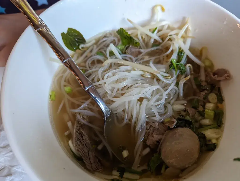 Menu_Restaurant Vivi Nem asiatique Chessy - Val d'europe_Chessy_image_6