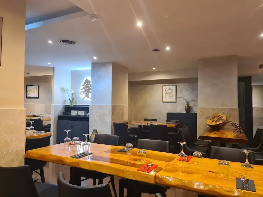 CEDRE D'OR_Châtenay-Malabry_slider_image_1