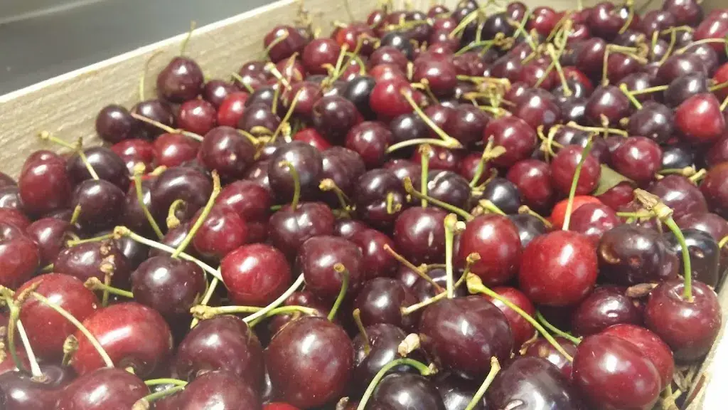 Caracole_Colombes_slider_image_2