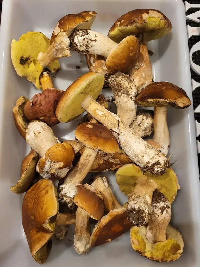 Menu_Brasserie de la foire du trone_Charenton-le-Pont_image_6