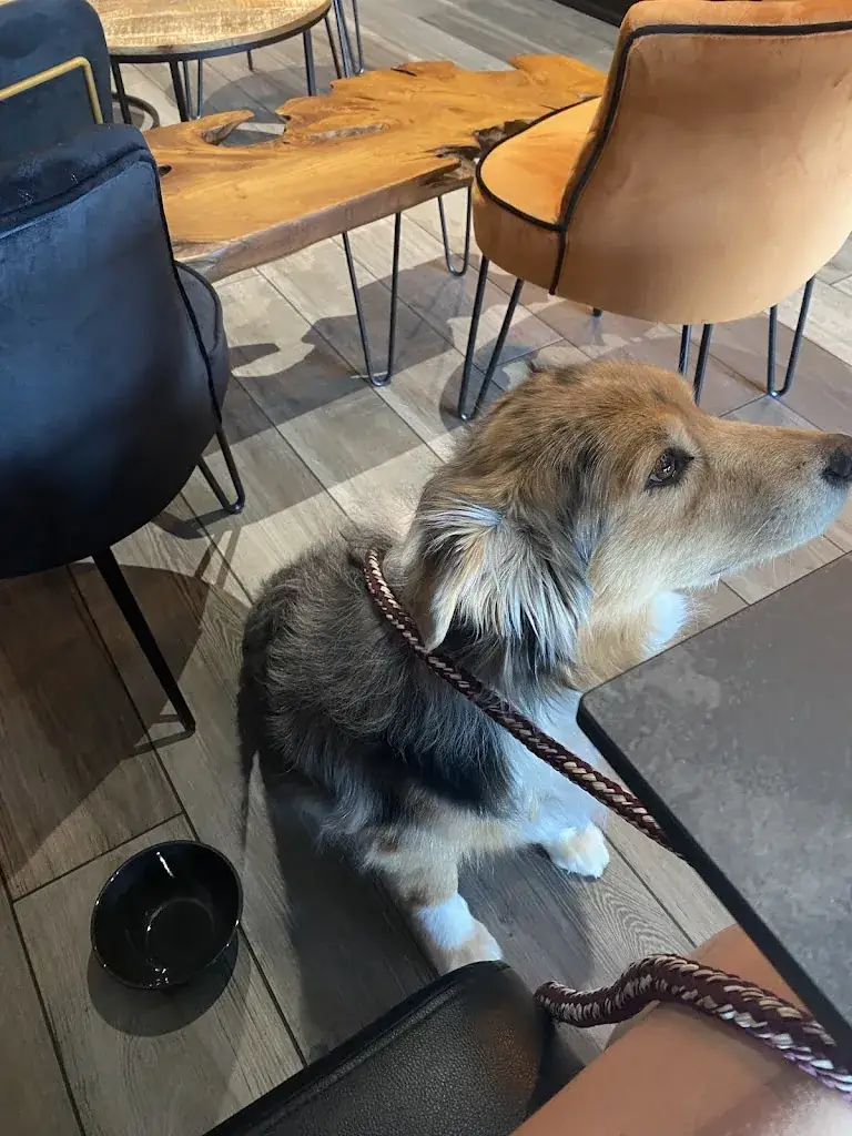 Clara Lombois_La table d'Hervé_Coignières_review