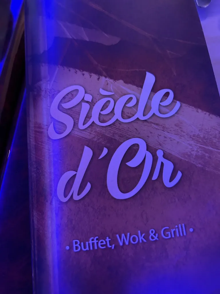 DIDIER BOUGARDIER_Siecle d'or_Dourdan_review