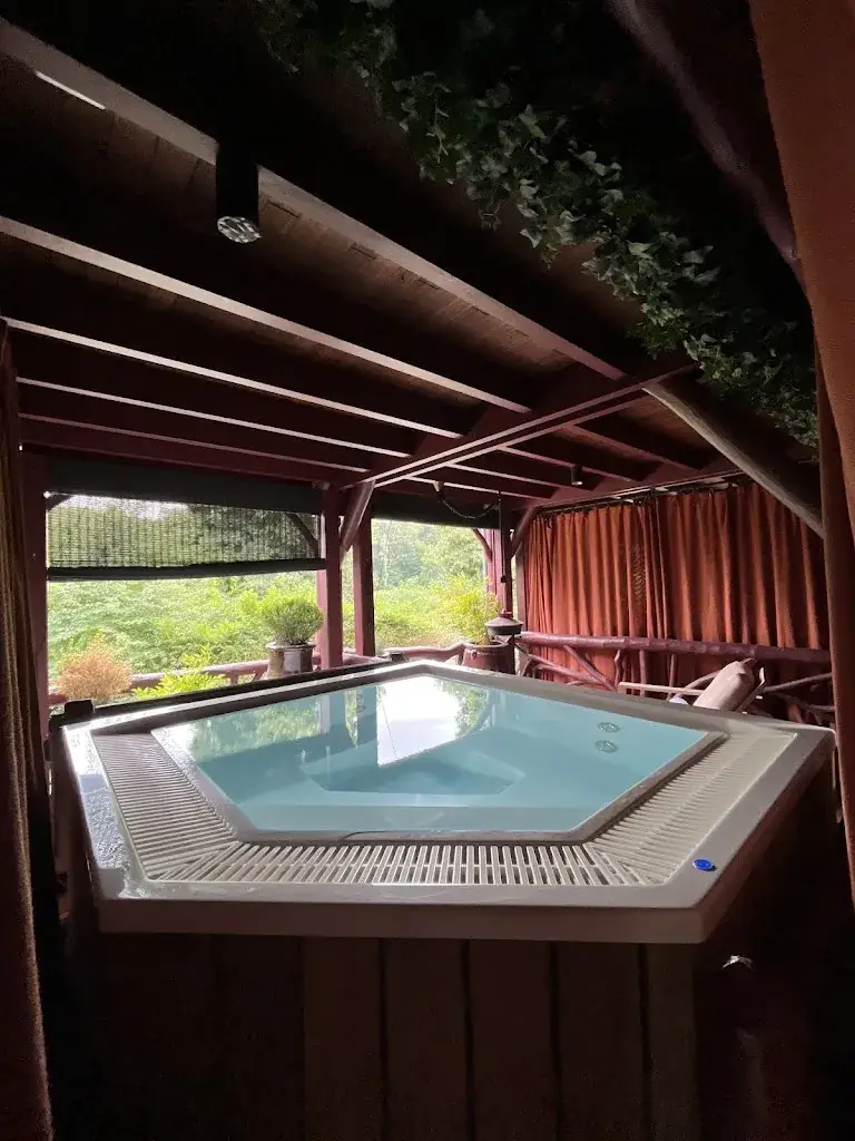 Modigliani Lover_Les Etangs de Corot Hôtel, Restaurants & Spa - Relais & Châteaux - proche Versailles_Ville-d'Avray_recensione