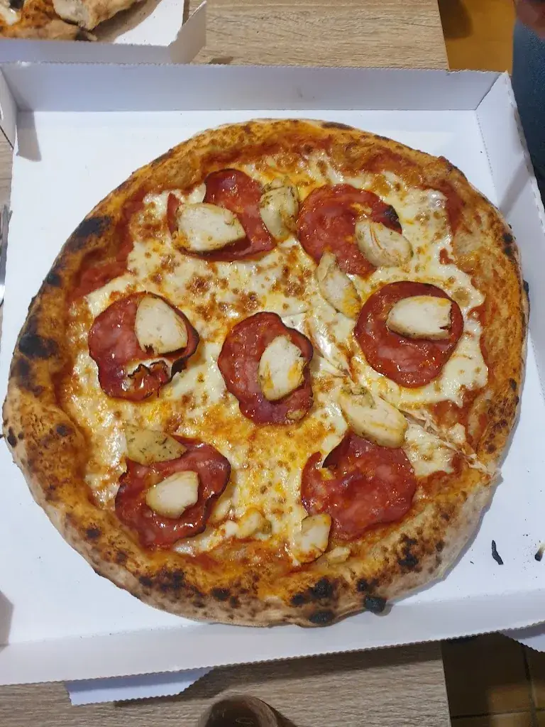 Elisa Roche_casa fregona_Donnemarie-Dontilly_review