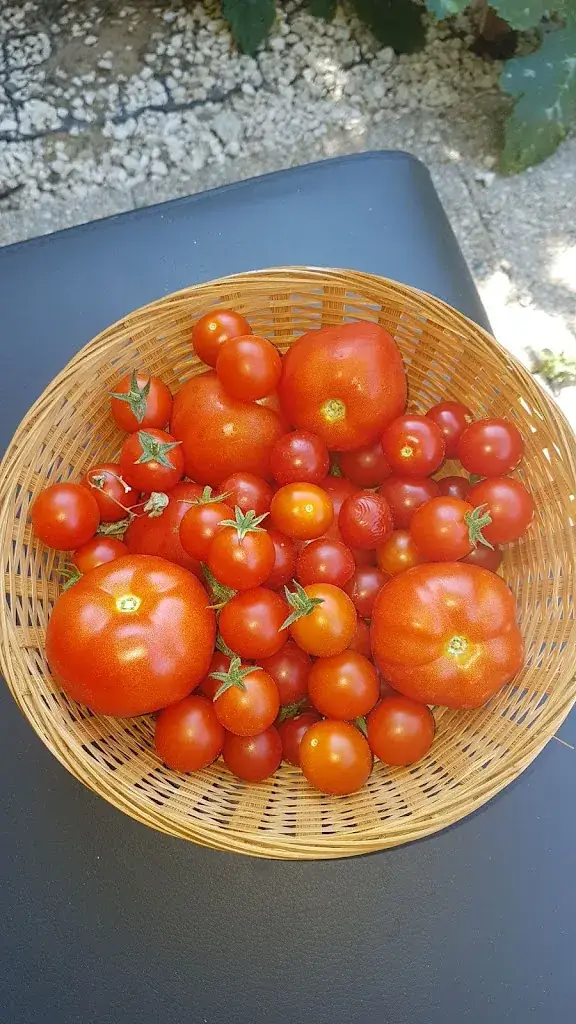 Menu_L'Antarès_Élancourt_image_7