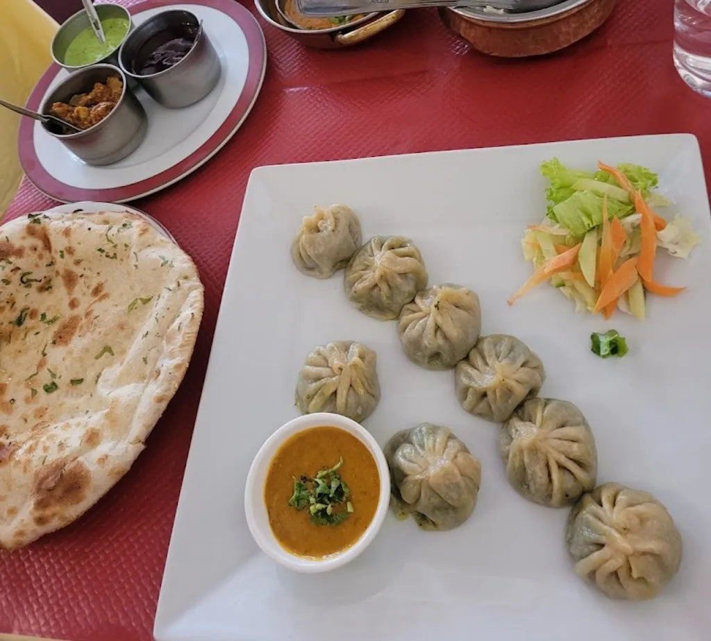 Razendra Shrestha_Simrik_Courbevoie_review