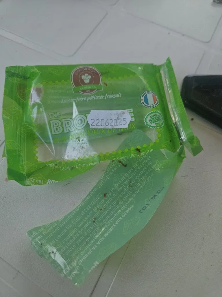 Jean daniel Laversin_KS’CROUTE_Faremoutiers_recensione