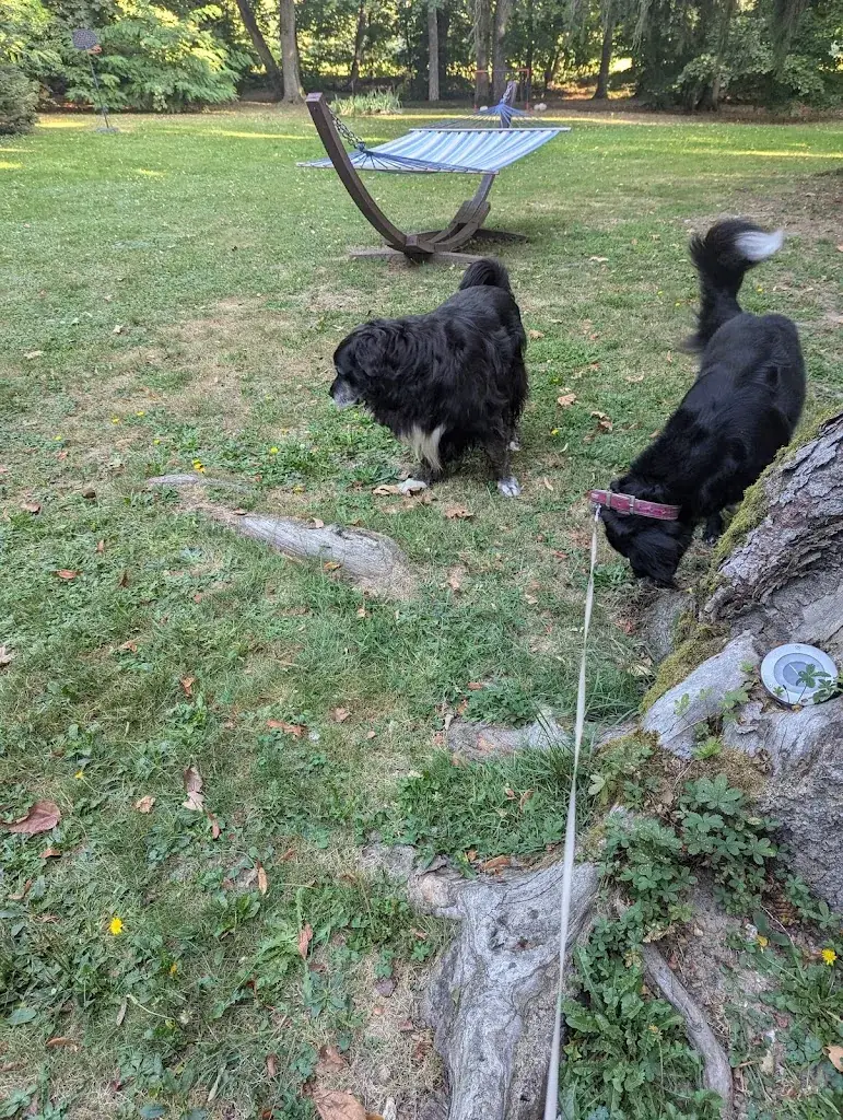 John Simon_La Gabetière_Estrablin_review