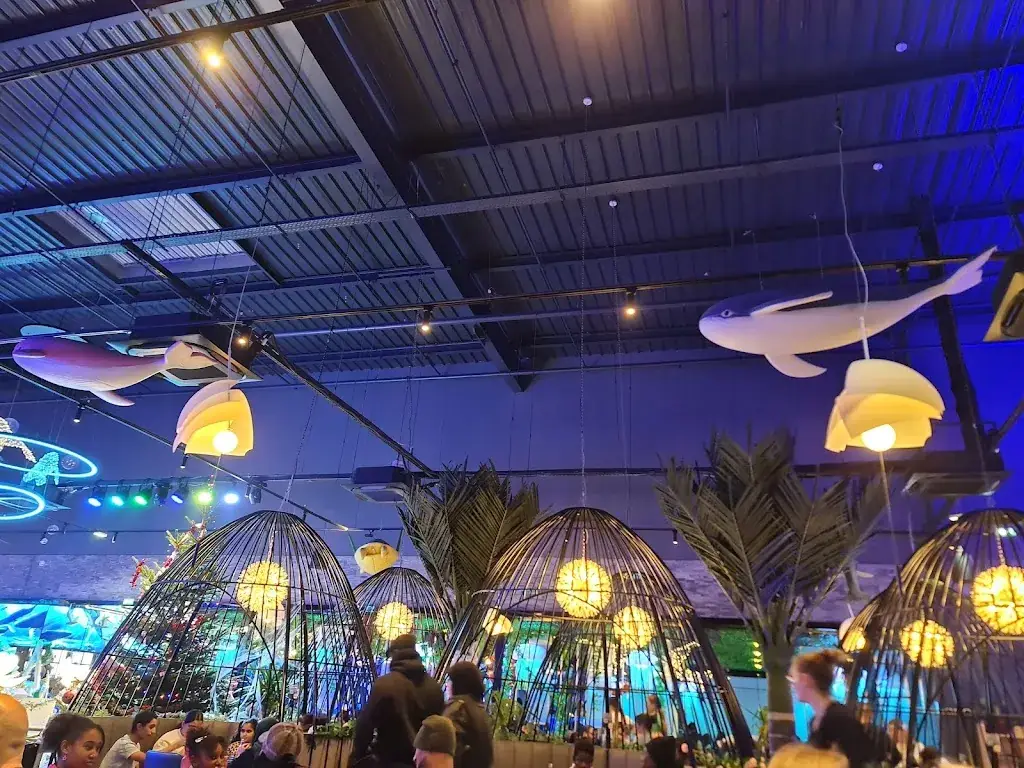 Hanine Oub_PACIFIC 91_Fleury-Mérogis_review