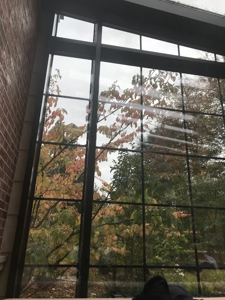 Thao-Nguyen Le_Le Chai_Ferrières-en-Brie_review