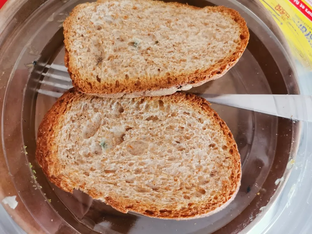 Sarah Thiery_Fresco_Eaubonne_review