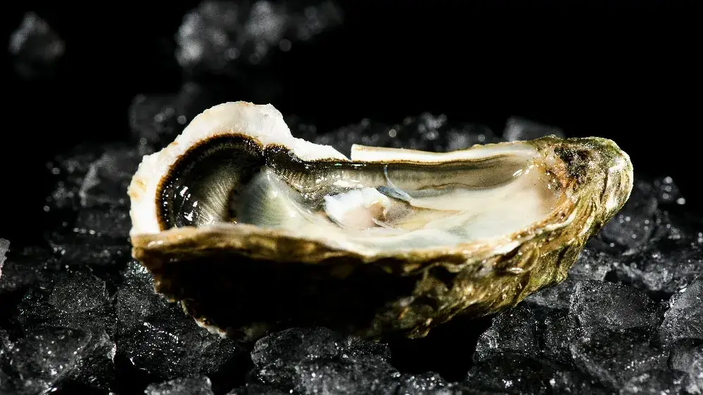 L'etale à fruits de mer Restaurant in Étoile-sur-Rhône