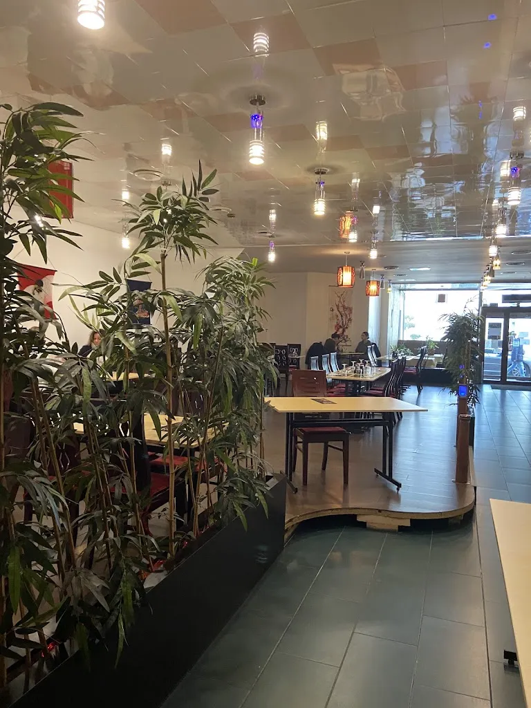 Soleil_Minamoto_Ermont_review