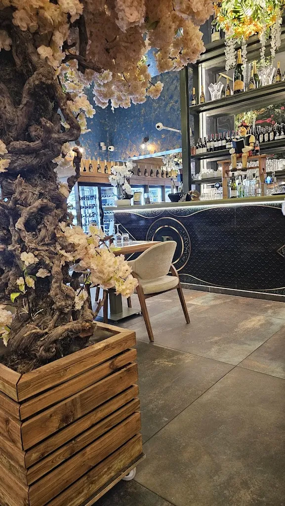 Ali H_Il Pinocchio_Gonesse_review