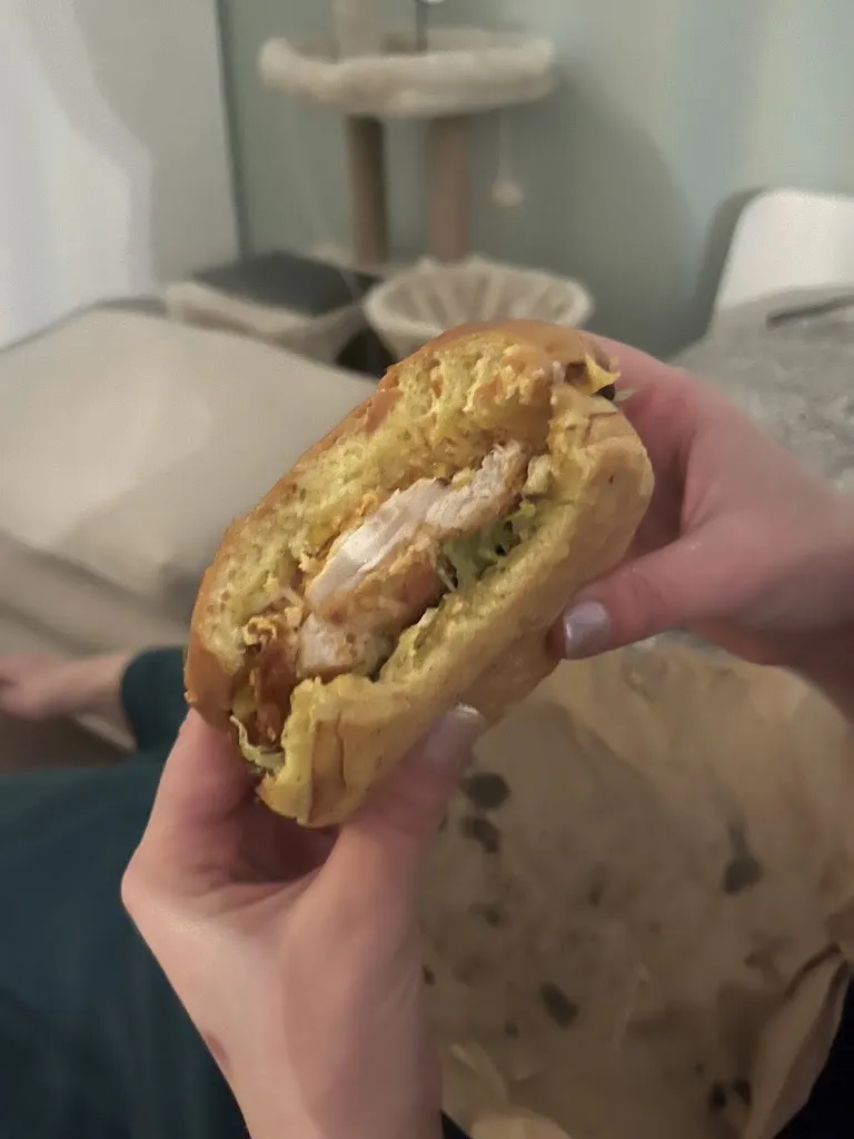 adrian_Ander's Hamburger_Gagny_review